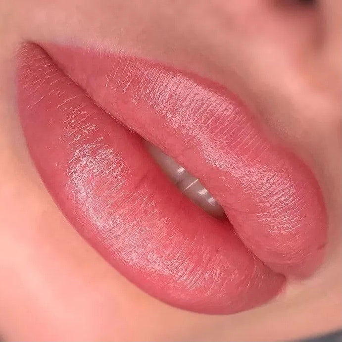 Brovi Lip Pigments Dusty Rose Example Realistic Results