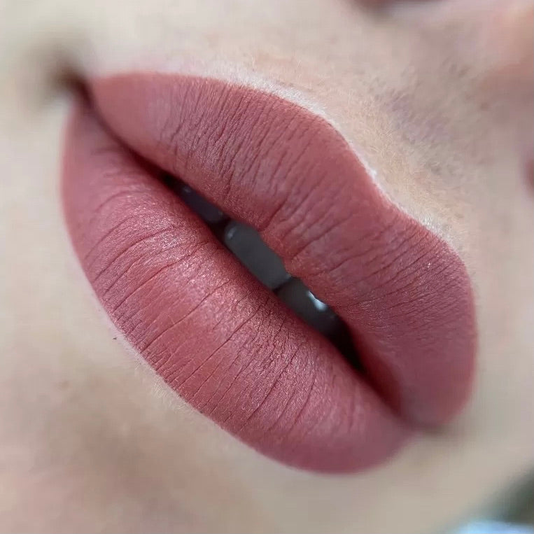 Brovi Lip Pigments Dusty Rose Example Realistic Results