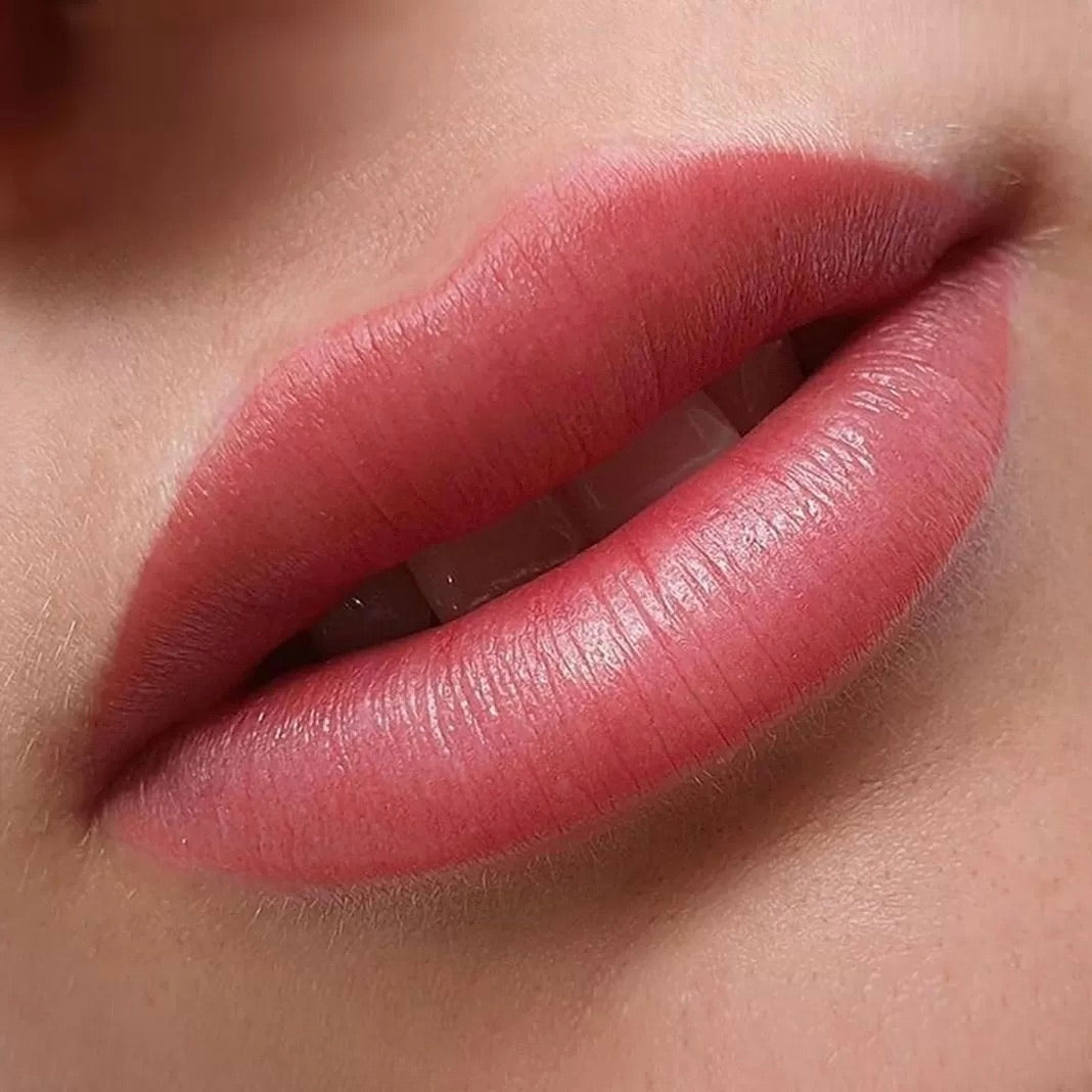 Brovi Lip Pigments Raspberry Tartlet Example Realistic Results