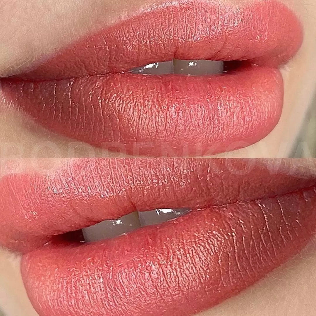 Brovi Lip Pigments Salted Caramel Example Realistic Results