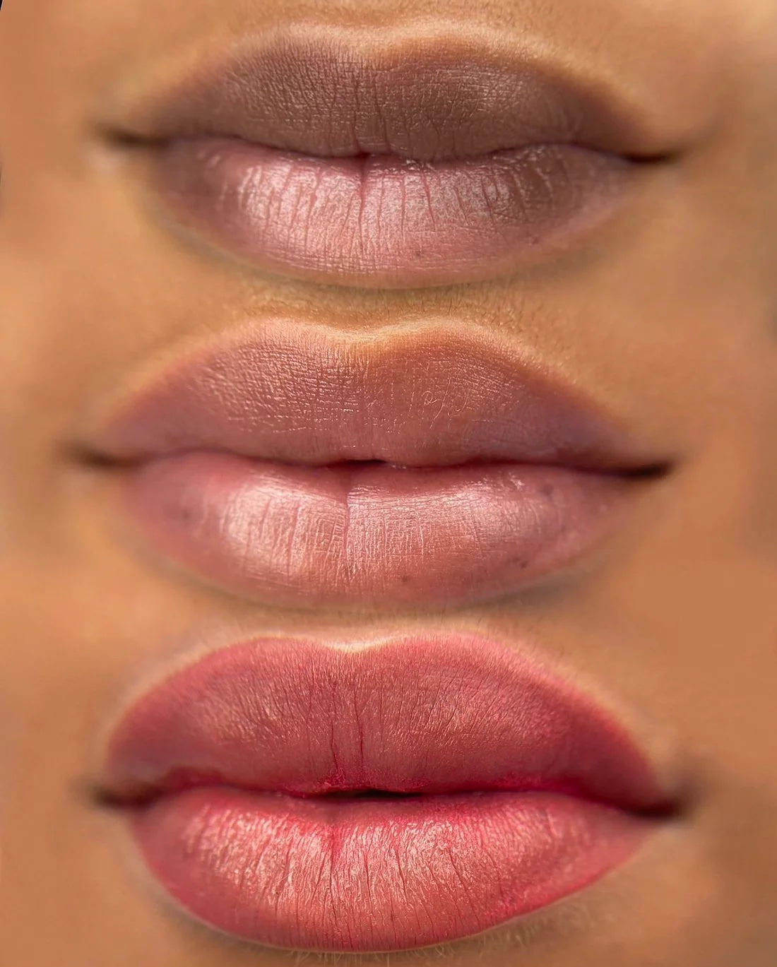 Mara Pro Lip Blush Pigment Set Neutral