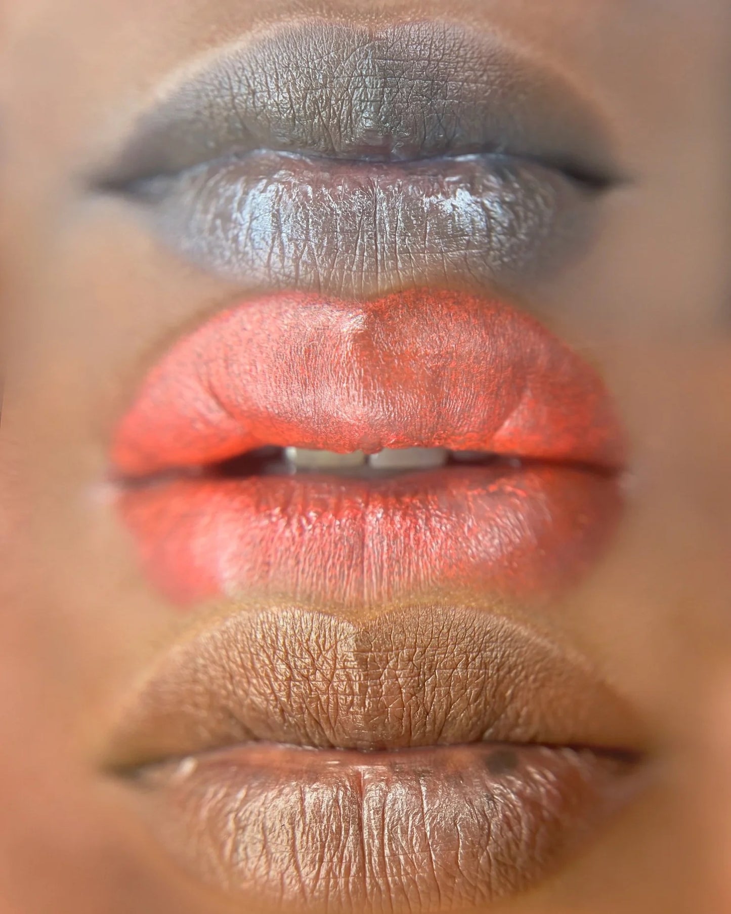 Mara Pro Lip Blush Pigment Set Neutral