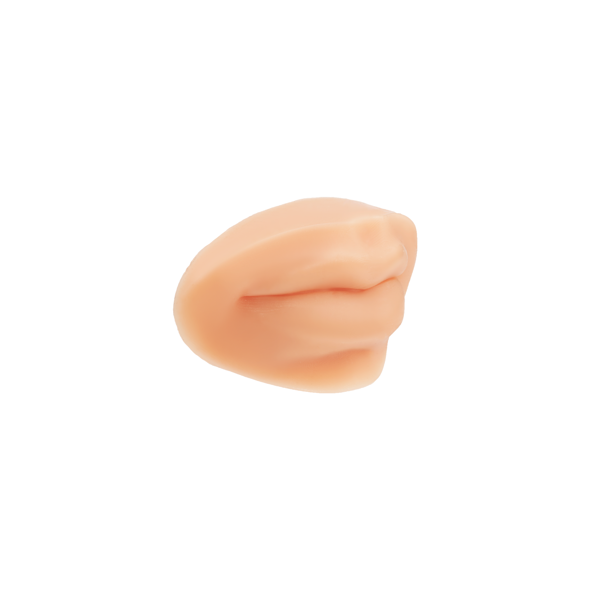 A Pound of Flesh PMU Practice Lips — Fitzpatrick Tone 4