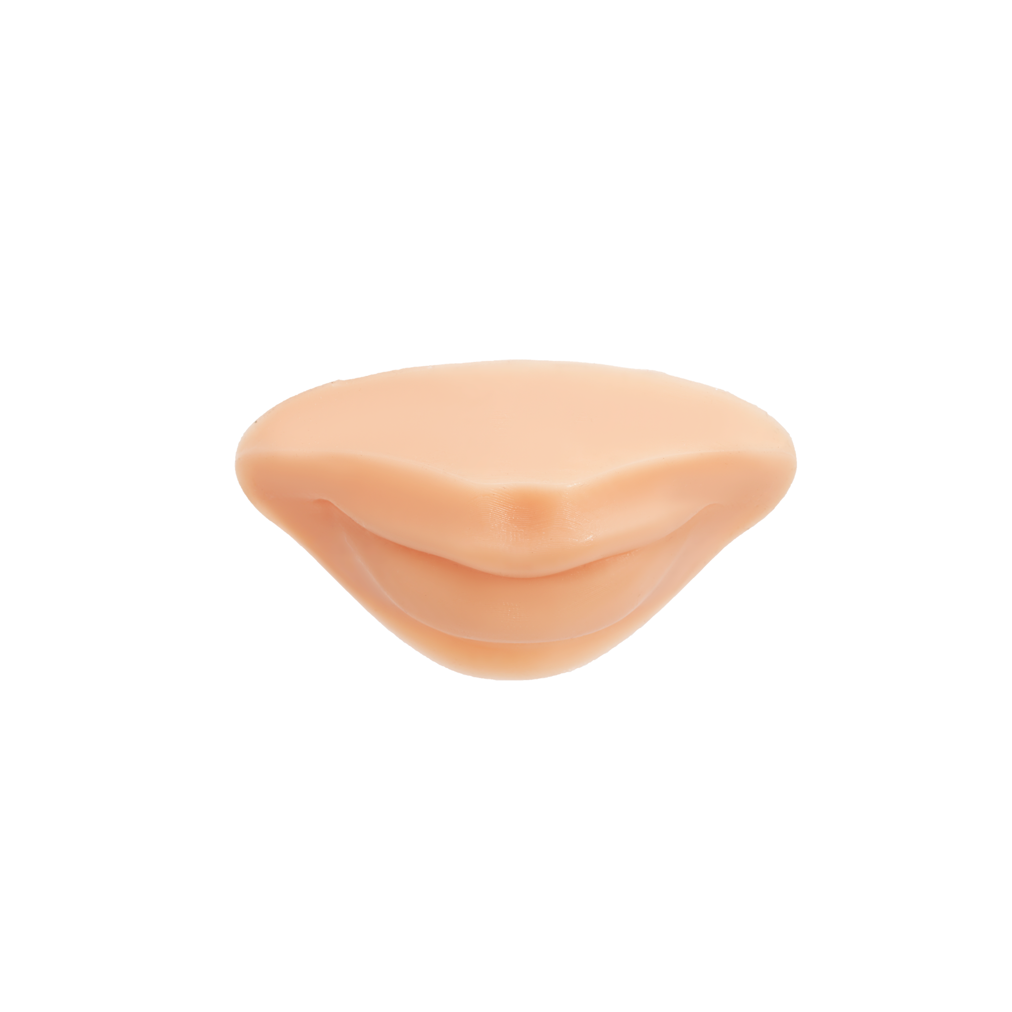 A Pound of Flesh PMU Practice Lips — Fitzpatrick Tone 2