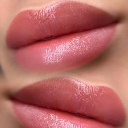 Brovi Lip Pigments Dusty Rose Example Realistic Results