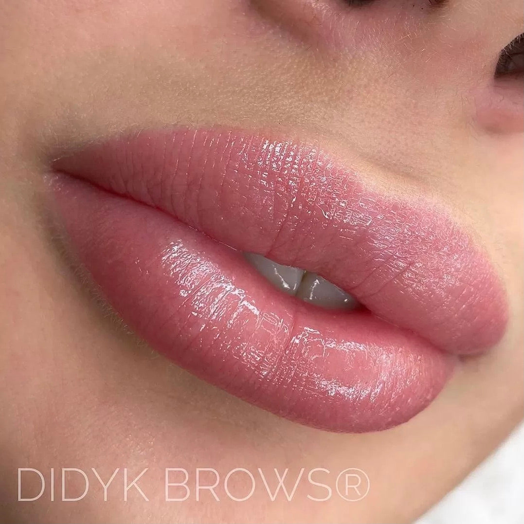 Brovi Lip Pigments Dusty Rose Example Realistic Results
