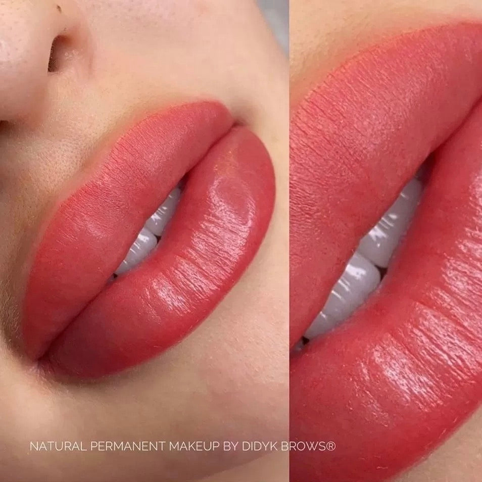 Brovi Lip Pigments Juicy Watermelon Example Realistic Results