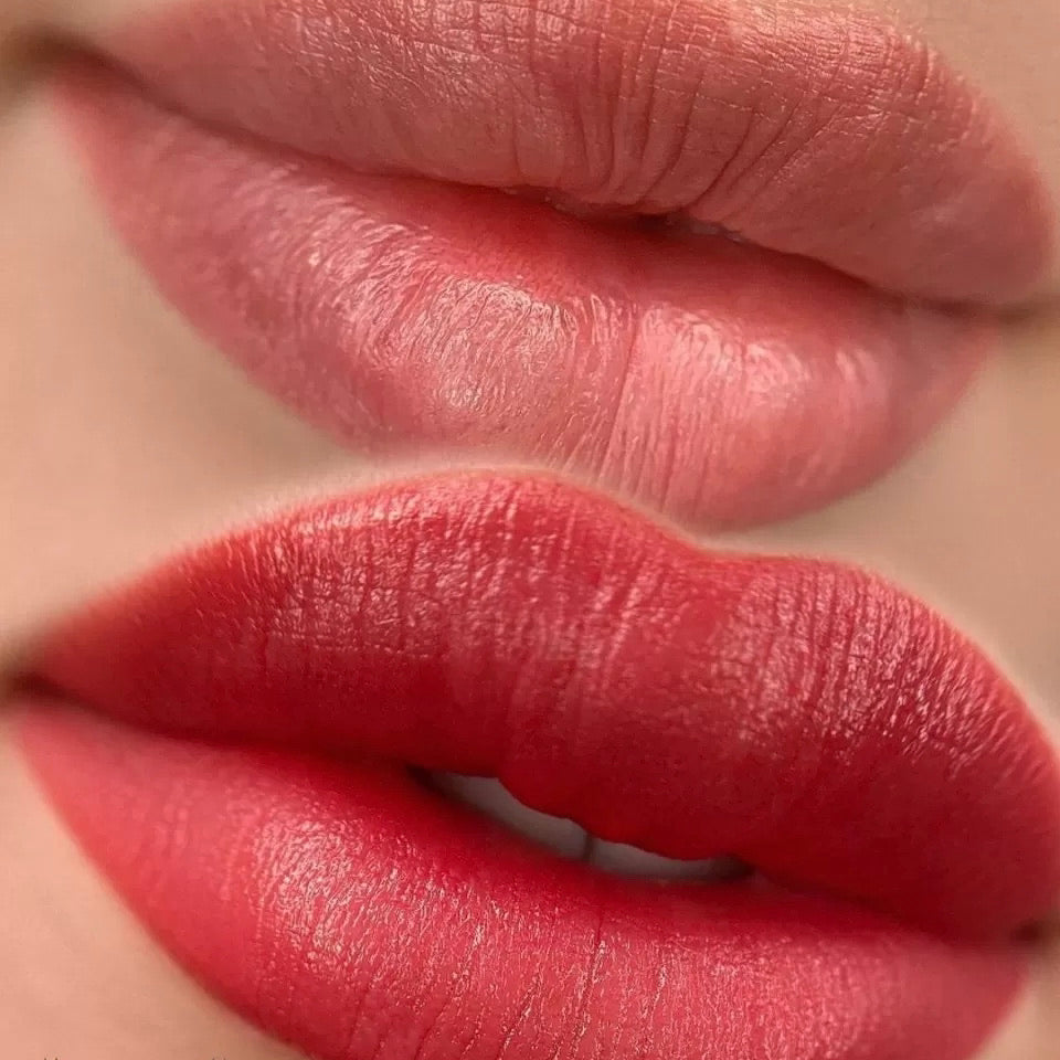 Brovi Lip Pigments Raspberry Tartlet Example Realistic Results