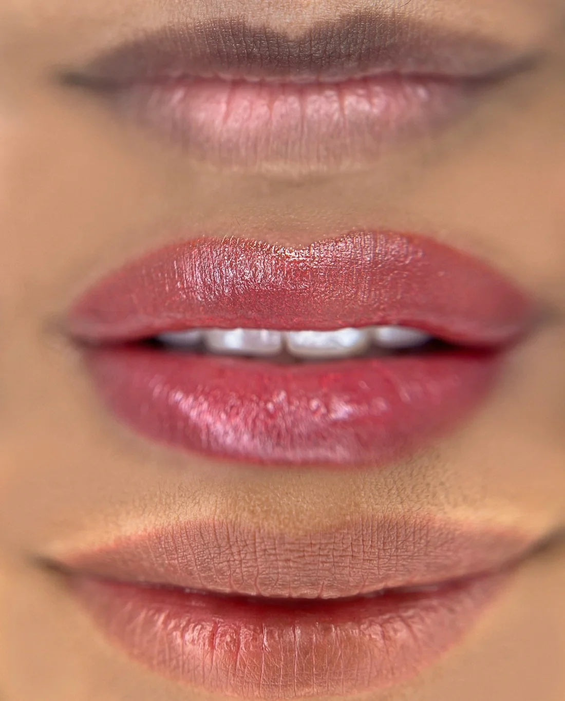 Mara Pro Lip Blush Pigment Set Neutral