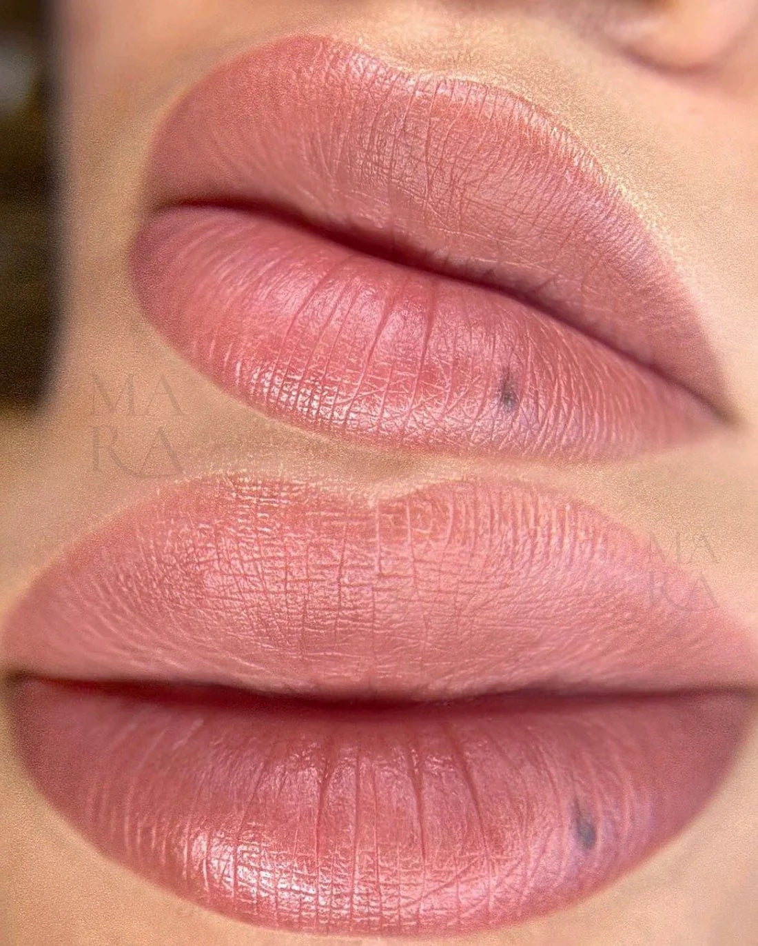 Mara Pro Cherry Blossom