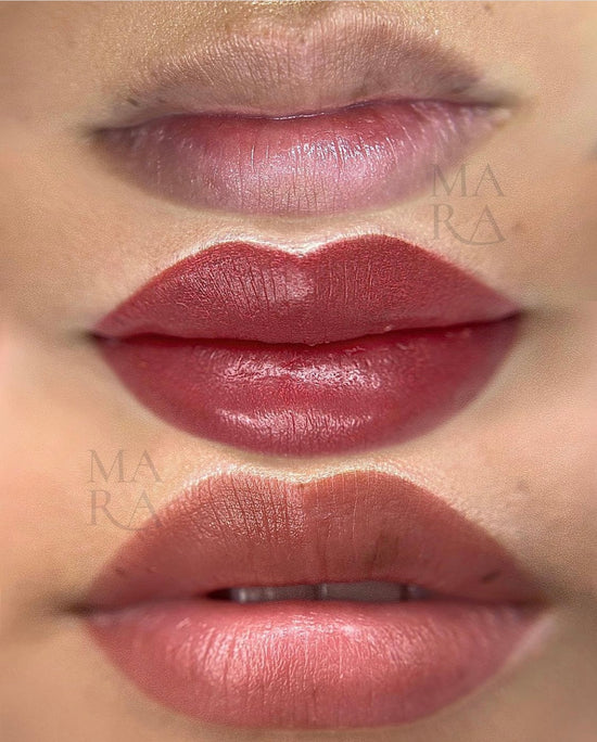 Mara Pro Lip Blush Pigment Set Earthy