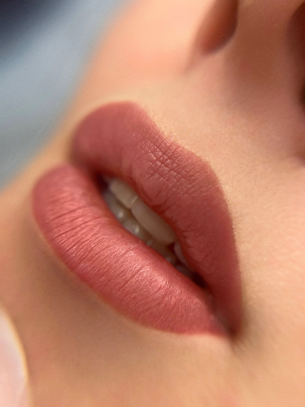 Mara Pro Lip Blush Pigment Set Earthy