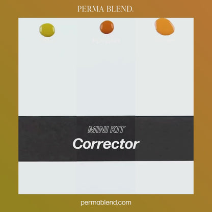 Perma Blend Corrector & Shader Mini Set