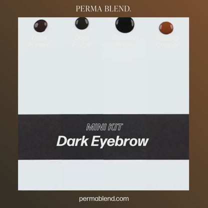 Perma Blend Dark Eyebrow Mini Set