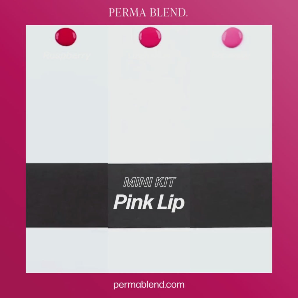 Perma Blend Pink Lip Mini Set