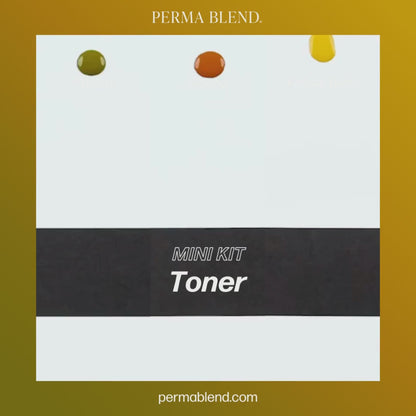 Perma Blend Toner Mini Set
