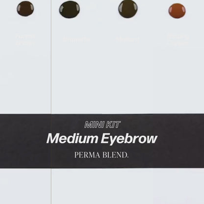 Perma Blend Medium Eyebrow Mini Set