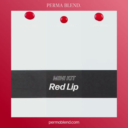 Perma Blend Red Lip Mini Set