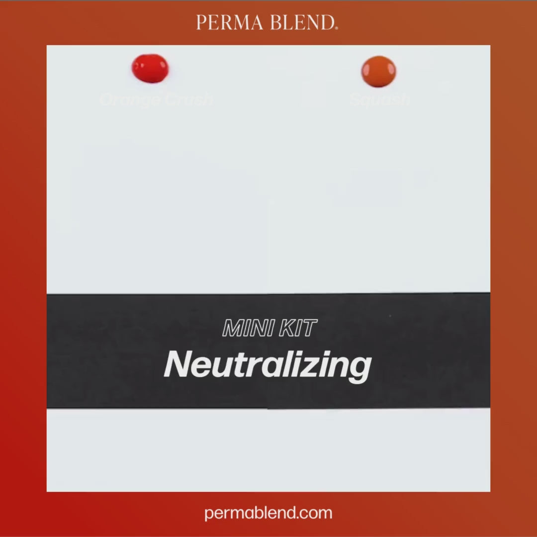 Perma Blend Neutralizing Mini Set