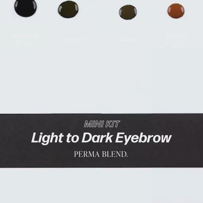 Perma Blend Light To Dark Eyebrow Mini Set